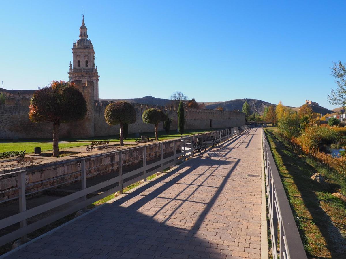 Appartamento La Casona del Zoilo -La Rasa- El Burgo De Osma Esterno foto